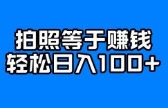每天拍几张照片，日入100+