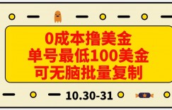 0成本撸美金，单号最低100美金，可无脑批量复制