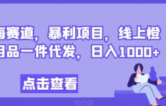 蓝海赛道，暴利项目，线上橙人用品一件代发，日入1000+