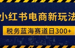 税务师小红书电商新玩法，知识撸金稳定300+