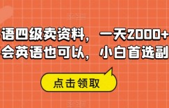 英语四级卖资料，一天2000+，不会英语也可以，小白首选副业