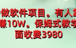 外面收费39801分钟做软件项目，有人靠这个已经赚10W，保姆式教学