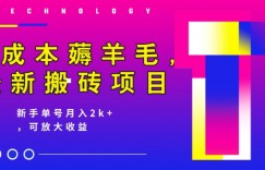 0成本薅羊毛，最新搬砖项目，新手单号月入2k+，可放大操作