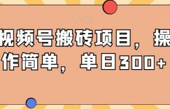 视频号搬砖项目，操作简单，单日300+