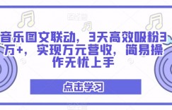 音乐图文联动，3天高效吸粉3万+，实现万元营收，简易操作无忧上手