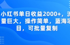 小红书单日收益2000+，流量巨大，操作简单，蓝海项目，可批量操作