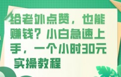 给老外点赞，也能赚钱？小白急速上手，实操教程
