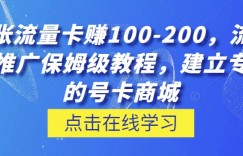 一张流量卡赚100-200，流量卡推广保姆级教程，建立专属的号卡商城