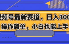 视频号最新赛道，日入300+，新手小白轻松掌握