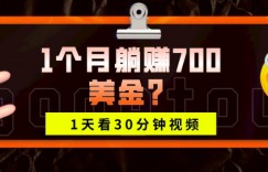 1天看30分钟视频，1个月躺赚700美金？