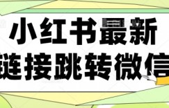 【首发】小红书最新链接跳转技术，无视任何违规！！