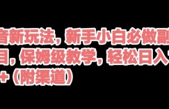 抖音新玩法，新手小白必做副业项目，保姆级教学，轻松日入1000+（附渠道）