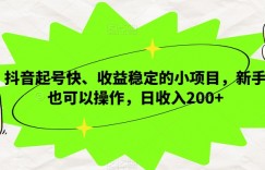 抖音起号快、收益稳定的小项目，新手也可以操作，日收入200+