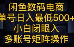 闲鱼数码电商，单号日入最低500+，小白闭眼入，多账号矩阵操作