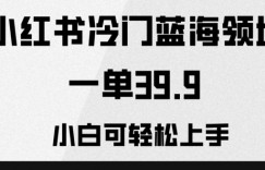 小红书冷门蓝海领域，一单39.9，小白可轻松上手