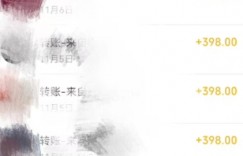 利用AI做短视频引流，卖398的虚拟产品，13天净赚10746元？