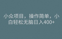小众项目，操作简单，小白轻松无脑日入400+