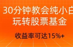 30分钟教会你玩转股票基金，只教好的筛选方法，不荐股