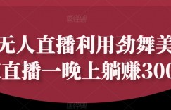 快手无人直播利用劲舞美女深夜直播一晚上躺赚300+