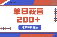 每日获客200+暴力塔罗牌玩法