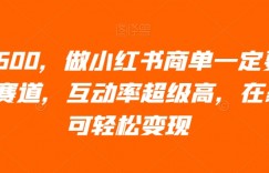 日入600，做小红书商单一定要选这个赛道，互动率超级高，在家即可轻松变现