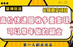 高价快递回收多重变现玩法，不需要推广，完全靠自己多劳多得