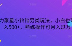 磁力聚星小铃铛另类玩法，小白也可日入500+，熟练操作可月入过万