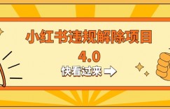 小红书违规掘金蓝海项目，日入800+（附带引流办法及解除办法）