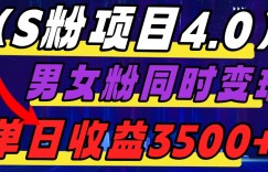 S粉项目4.0，男女粉通吃，男女粉同时变现，单日收益3500+