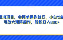 超级蓝海项目，会简单操作就行，小白也能做，可放大矩阵操作，轻松日入800+，