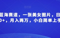 最新蓝海赛道，一张美女图片，日引100+，月入两万，小白简单上手
