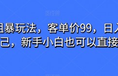 男粉粗暴玩法，客单价99，日入多少靠自己，新手小白也可以直接上手
