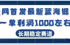 全网首发最新蓝海掘金，一单利润1000左右，稳定落地长久赛道