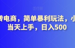 转转电商，简单暴利玩法，小白当天上手，日入500