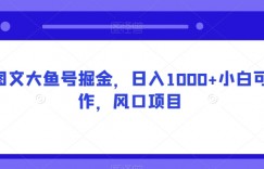 AI图文大鱼号掘金，日入1000+小白可操作，风口项目