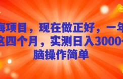 蓝海项目，现在做正好，一年就做这4个月，实测日入3000+，无脑简单操作
