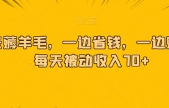 天天薅羊毛，一边省钱，一边赚钱，每天被动收入70+