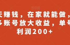 聊天赚钱，在家就能做，可以多账号放大收益，单号日利润200+