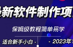 最新免费软件制作变现项目，1分钟做个软件，有人靠这个已经赚100W，保姆式教学
