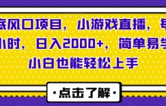 年底风口项目，小游戏直播，每天两小时，日入2000+，简单易学，小白也能轻松上手