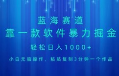蓝海项目，靠一款软件，暴力掘金日入1000+，小白无脑操作