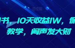 AI抄书，10天收益1W，保姆及教学，闷声发大财
