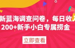 最新蓝海调查问卷，每日收入200+新手小白专属捞金