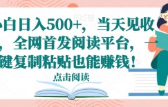 小白日入500+，当天见收益，全网首发阅读平台，一键复制粘贴也能赚钱！