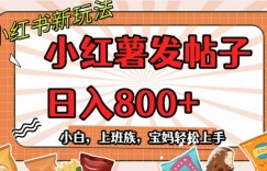 小红薯发日常帖子，日入800+小白专属项目可批量操作