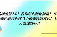 私域流量2.0！教你怎么转化流量！五年网赚经验告诉你当下最赚钱的方式！上车一天变现2000！