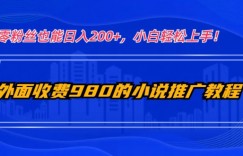 外面收费980的小说推广教程：零粉丝也能日入200+，小白轻松上手！