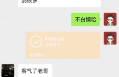 每天2小时搬运30条视频，半自动赚钱秘籍，轻松日赚3000+？