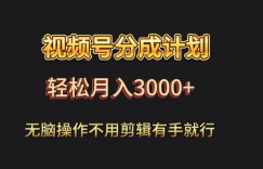 视频号流量分成，不用剪辑，有手就行，轻松月入2000+