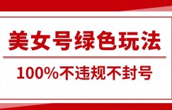 美女号引流变现新玩法，长期蓝海纯绿色，不封号不违规，每日收益500+